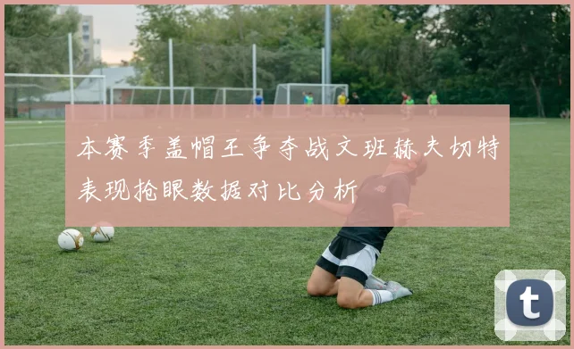 本赛季盖帽王争夺战文班赫夫切特表现抢眼数据对比分析