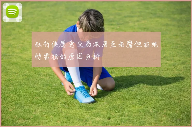 独行侠愿意交易浓眉至老鹰但拒绝特雷杨的原因分析