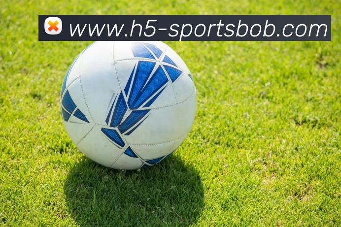 BOB体育品牌故事