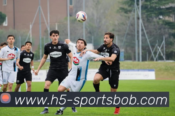 BOB体育服务体系